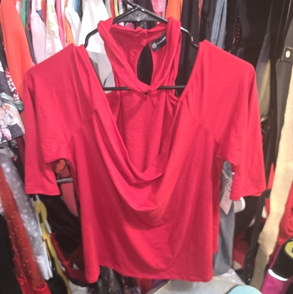 🍂🍁NWT Fashion to figure long sleeve choker top 2x - Picture 3 of 5